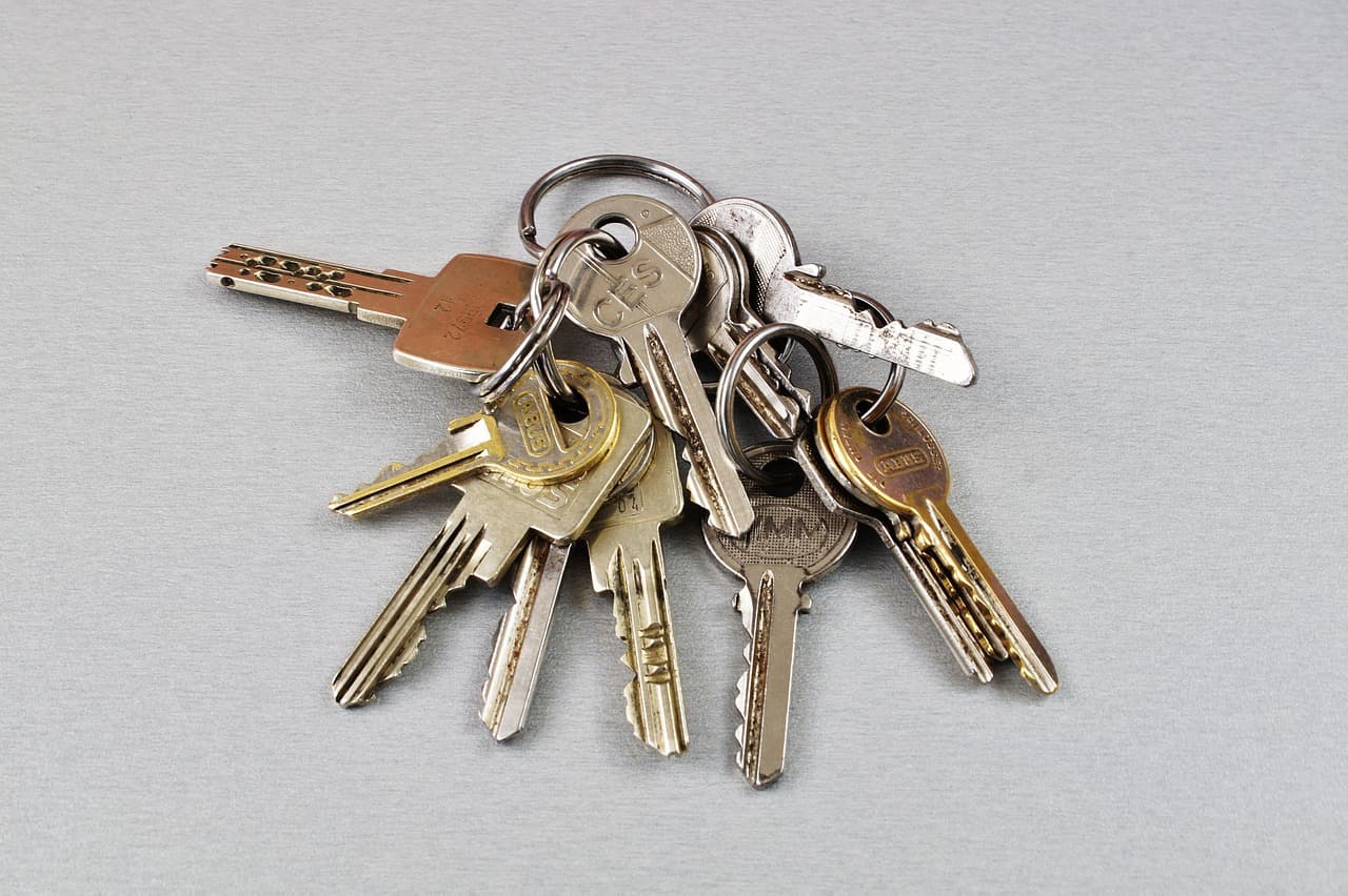 A bunch of house keys on a plain grey counter